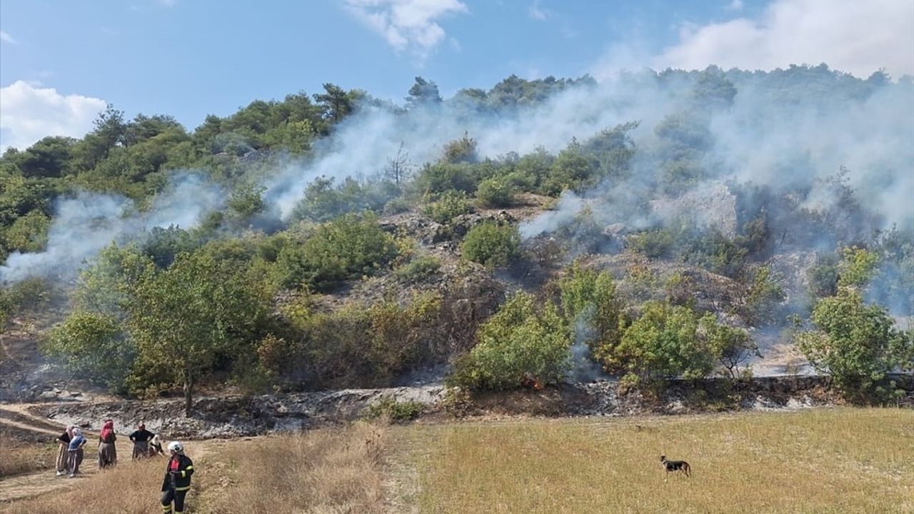 Tokat'ta Niksar Arpaören'de Orman Yangını Söndürüldü