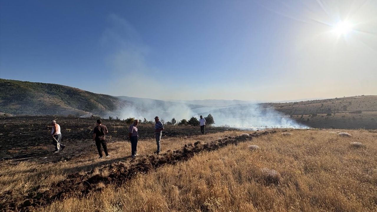 Tokat'ta Orman Yangını: Çamlıbel'de Yaklaşık 2 Hektar Zarar