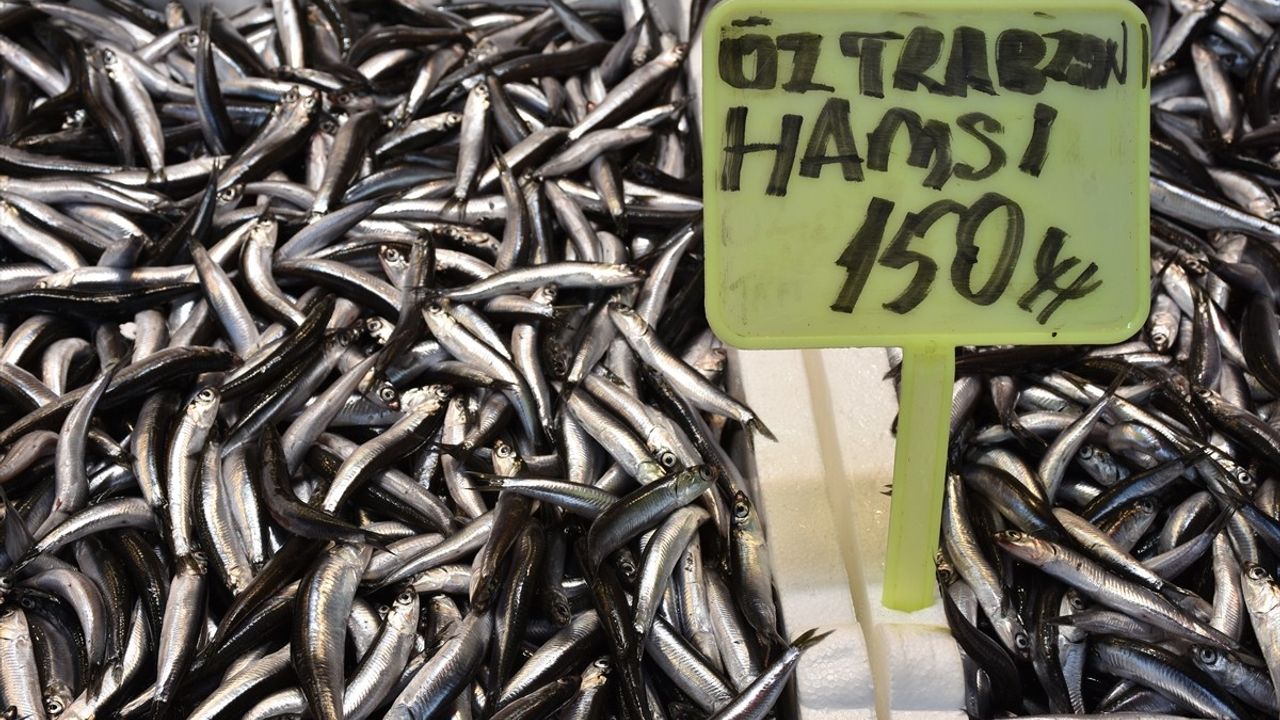 Trabzon'da hamsi ve istavrit 150 liradan tezgâhta