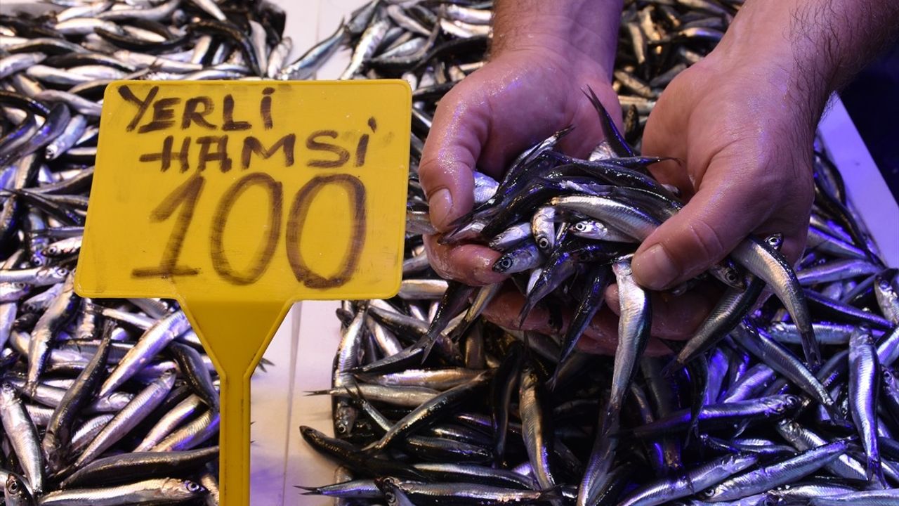 Trabzon'da hamsinin kilogramı 100 liradan satışa sunuldu