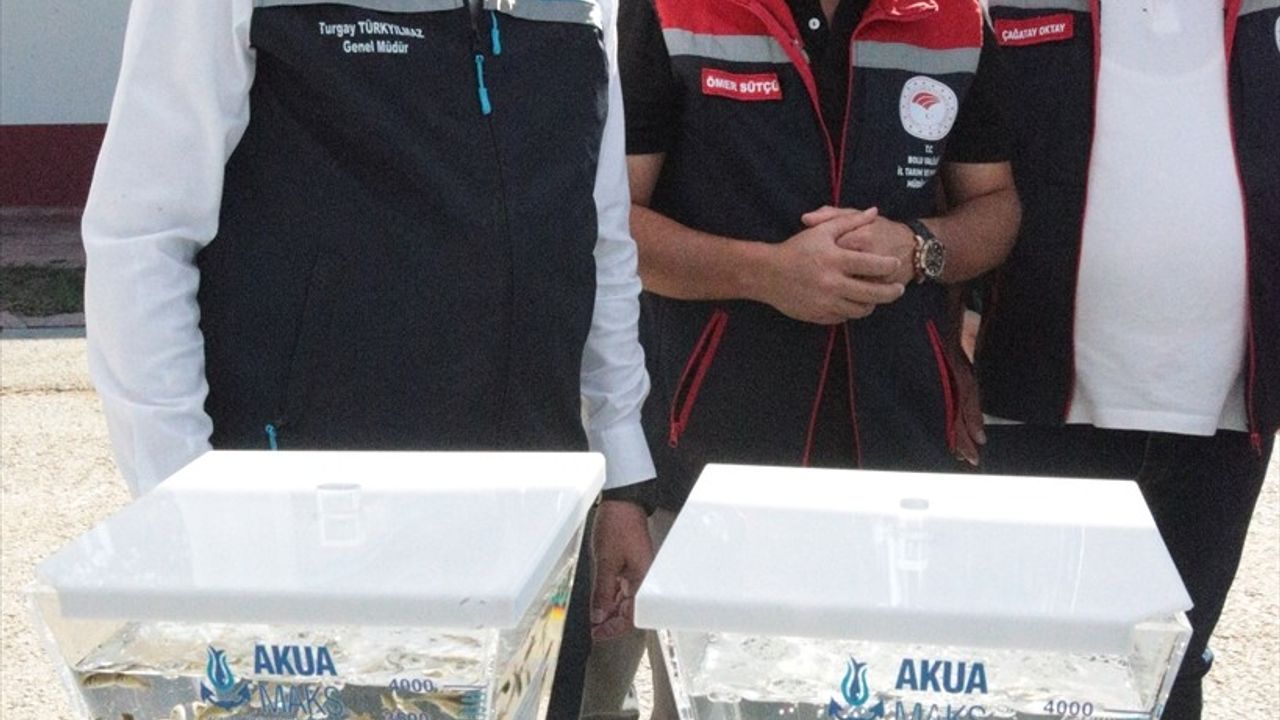 Turgay Türkyılmaz Gölköy Tesisinde: 6 Milyon Sazan, Mersin ve Siyah Havyar Hedefi