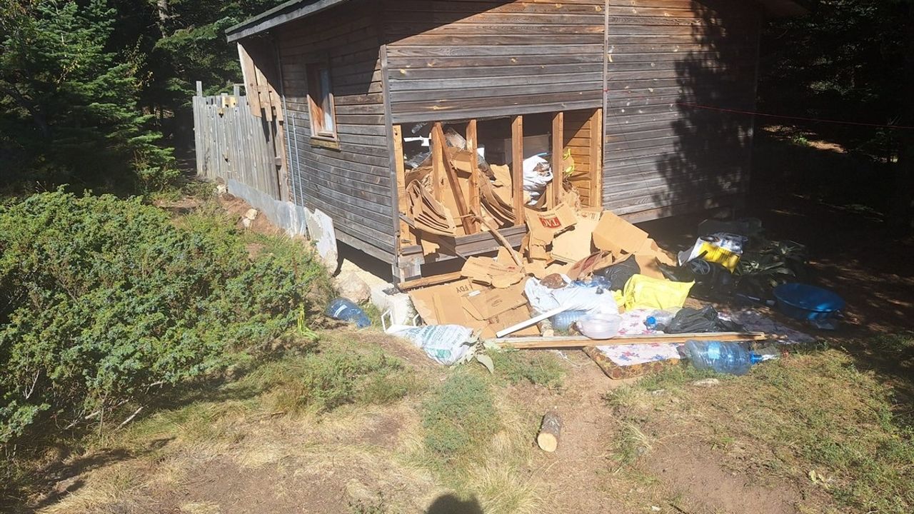 Uludağ'da Ayı Barakaya Girdi, Barakada Hasar Oluştu