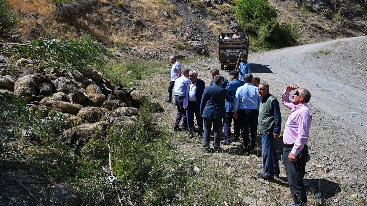 Van Çatak'ta Kayalıkta Düşen Sürü Faciası: 334 Küçükbaş Telef Oldu