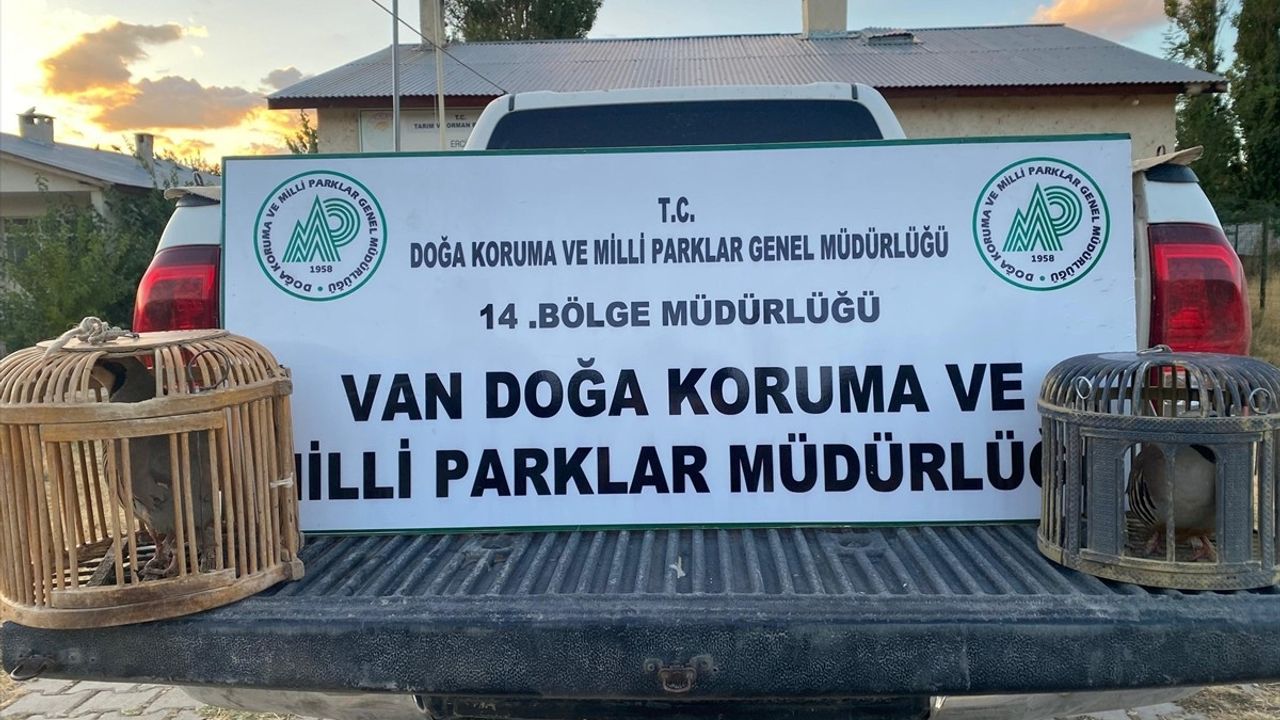 Van'da Kaçak Keklik Avına 48 bin 883 lira Ceza
