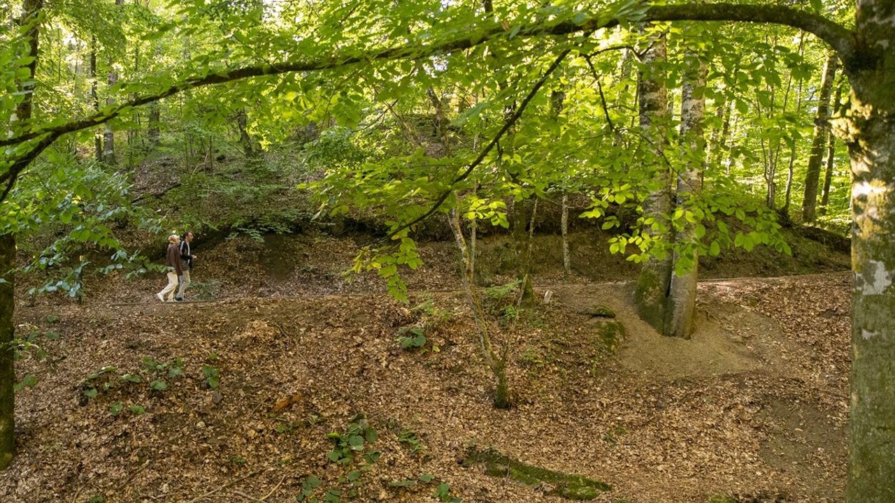 Yedigöller'de Sonbahar Büyüsü: Bolu'nun 7 Göllü Milli Parkı