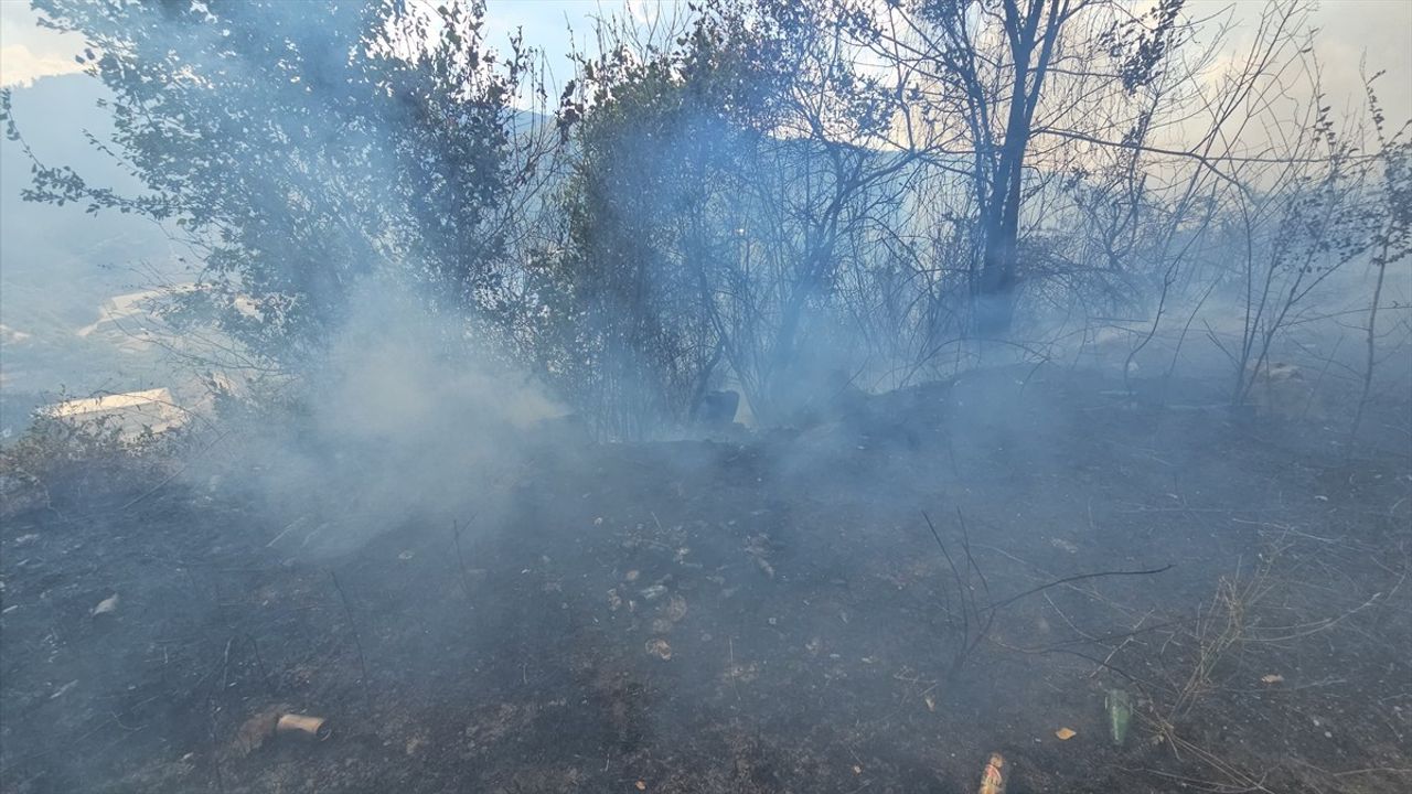 Zonguldak'ta Örtü Yangını Kontrol Altına Alındı