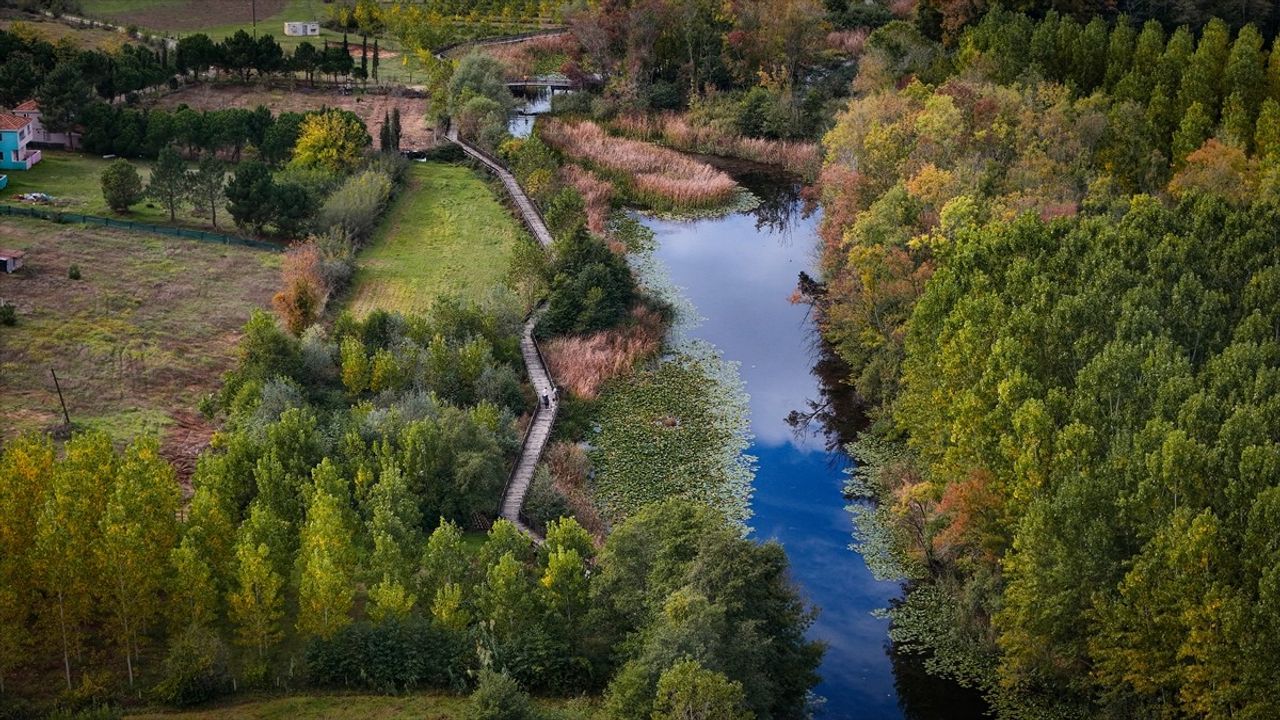 Acarlar Longozu ve Büyük Melen Havzası Sonbaharda Renk Cümbüşü