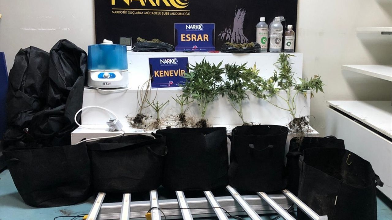 Adana'da İklimlendirme Sistemiyle Kenevir Yetiştiren Zanlı Tutuklandı