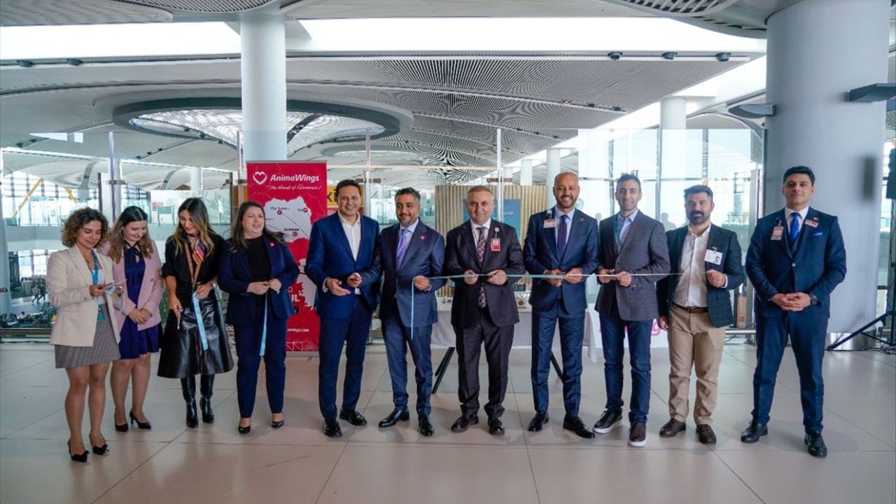 AnimaWings İstanbul Havalimanı'na Direkt Seferlere Başladı