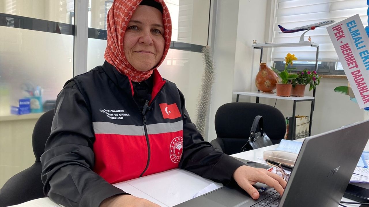 Antalya Aksu'da Seralarda Fırtına ve Yağış Hasarı — Hasar Tespiti Başladı