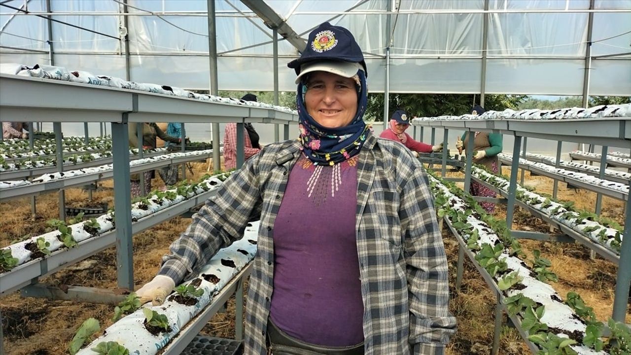 Antalya Manavgat'ta 15 Ekim Dünya Kadın Çiftçiler Günü'nde Serada Çalışan Kadınlara Ziyaret