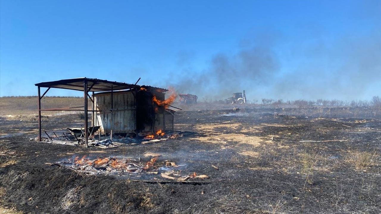 Antalya Serik'te güvercin kulübesi yandı: 25 güvercin telef oldu