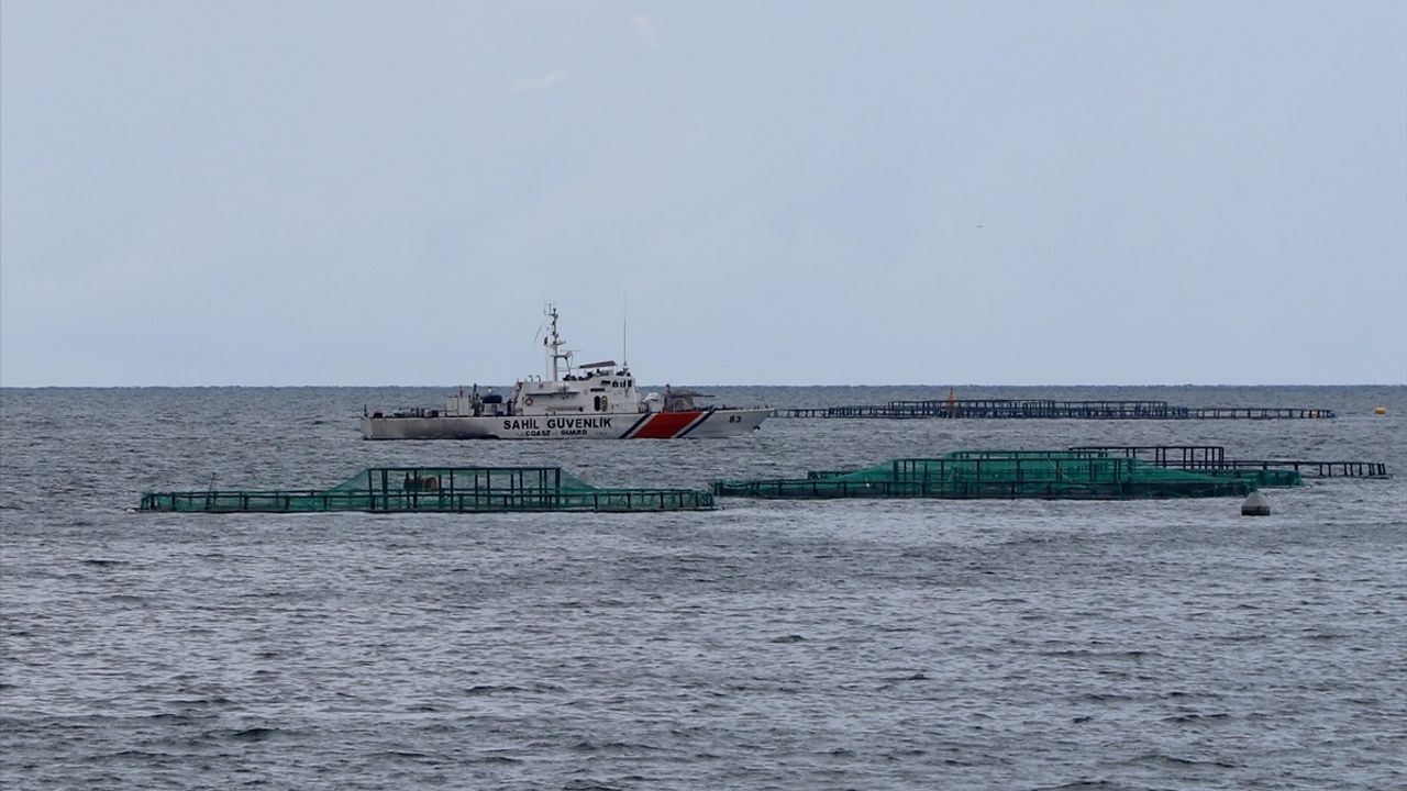 Arsin'de Balıkçı Mehmet Ali Gürsoy'un Tekneden Düştüğü İddia Edildi — Denizde Arama Başlatıldı