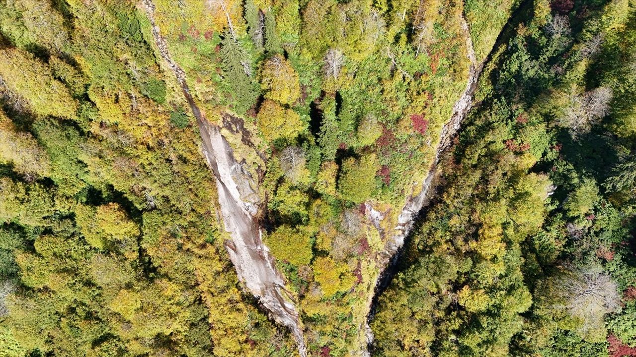 Artvin Borçka Karagöl Tabiat Parkı Sonbaharda Renk Cümbüşü