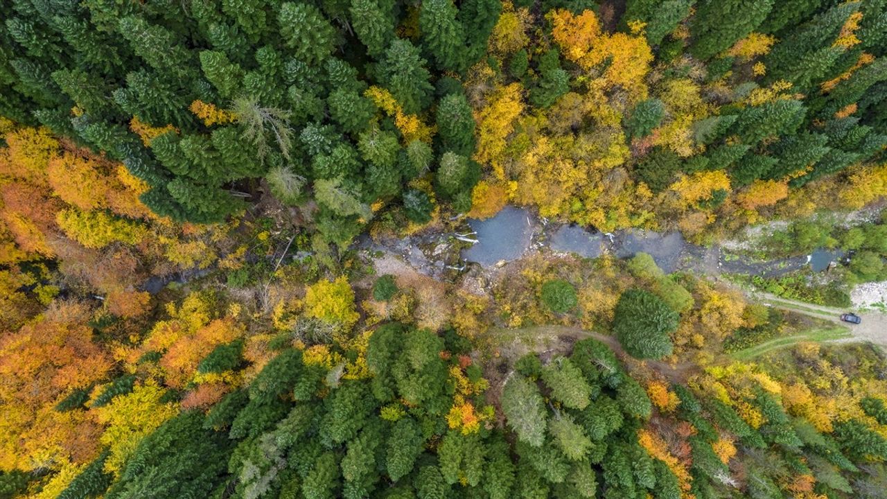 Azdavay'da Sonbahar Şöleni: Saray Şelalesi Renklerle Büyülüyor