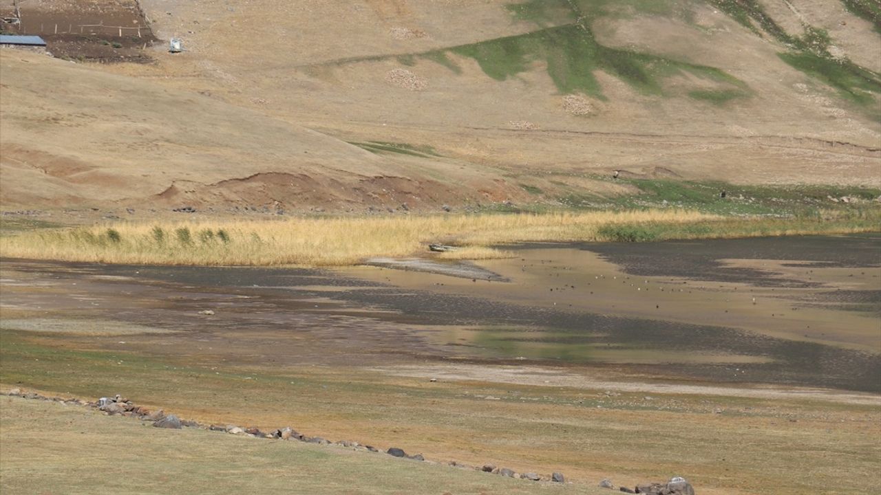 Balık Gölü Küçülüyor: Ağrı'da İklim ve İnsan Etkisi Alarmı