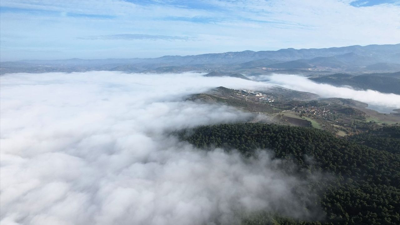 Balıkesir'de Yoğun Sis: Sındırgı'da Görüş 20 Metreye Düştü