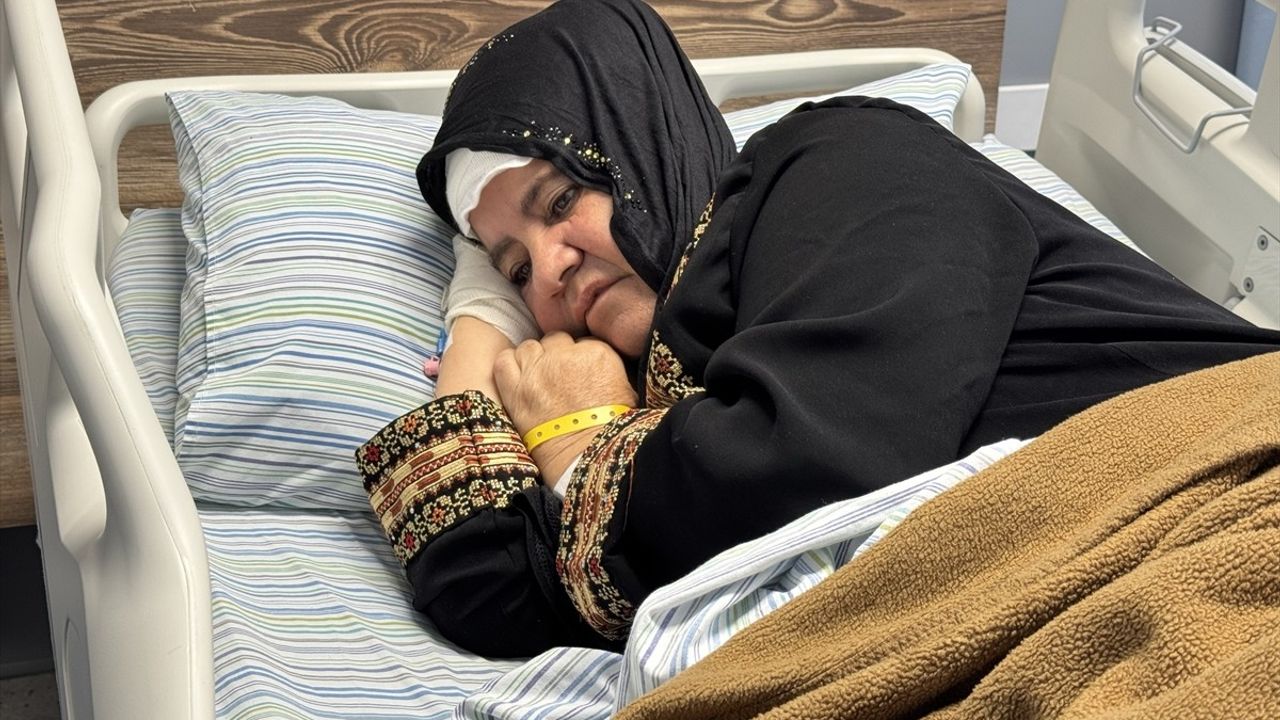 Batı Şeria'da Zeytin Hasadında Şiddet: Afaf Ebu Alya Hastanelik Edildi