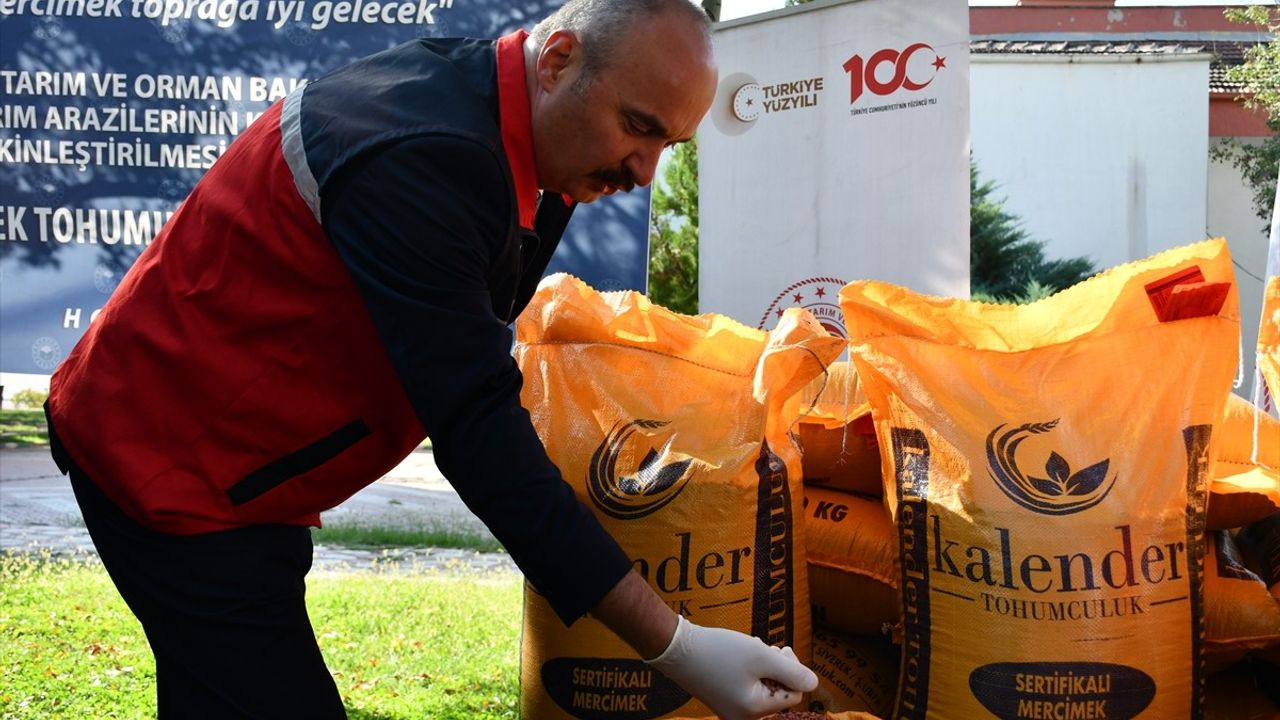 Batman'da 152 Ton Mercimek Tohumu Çiftçilere Dağıtıldı