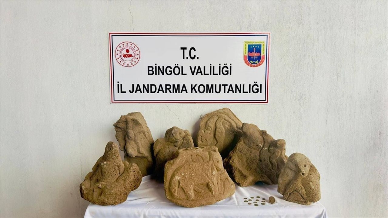 Bingöl Solhan'da 17 Figür İşlemeli Kaya ve 12 Sikke Ele Geçirildi