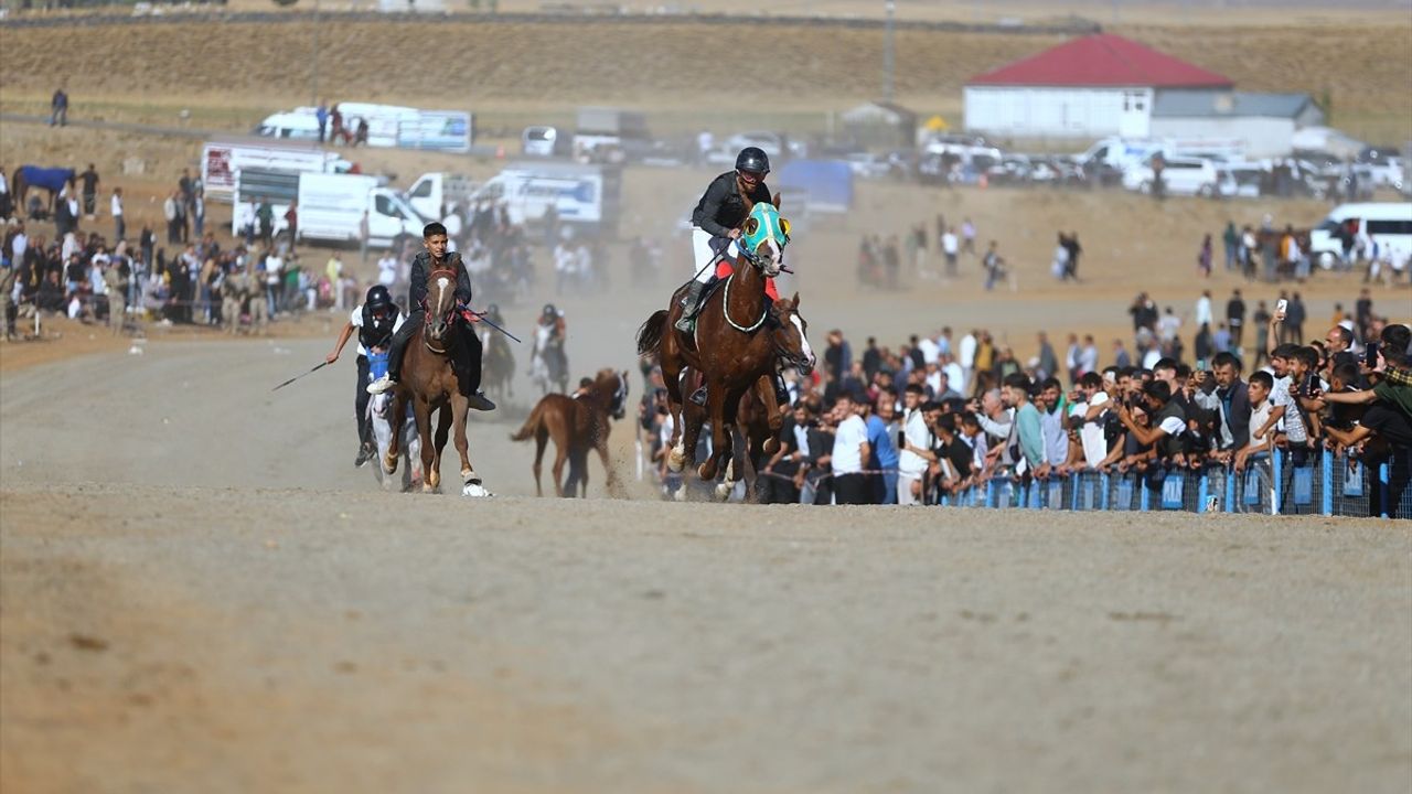 Bingöl Toklular'da Geleneksel At Yarışları Coşkusu