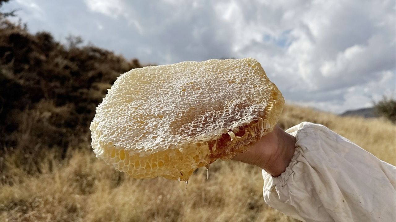 Bitlis'te Karakovan Balı Hasadı: Vali Karakaya Sahada
