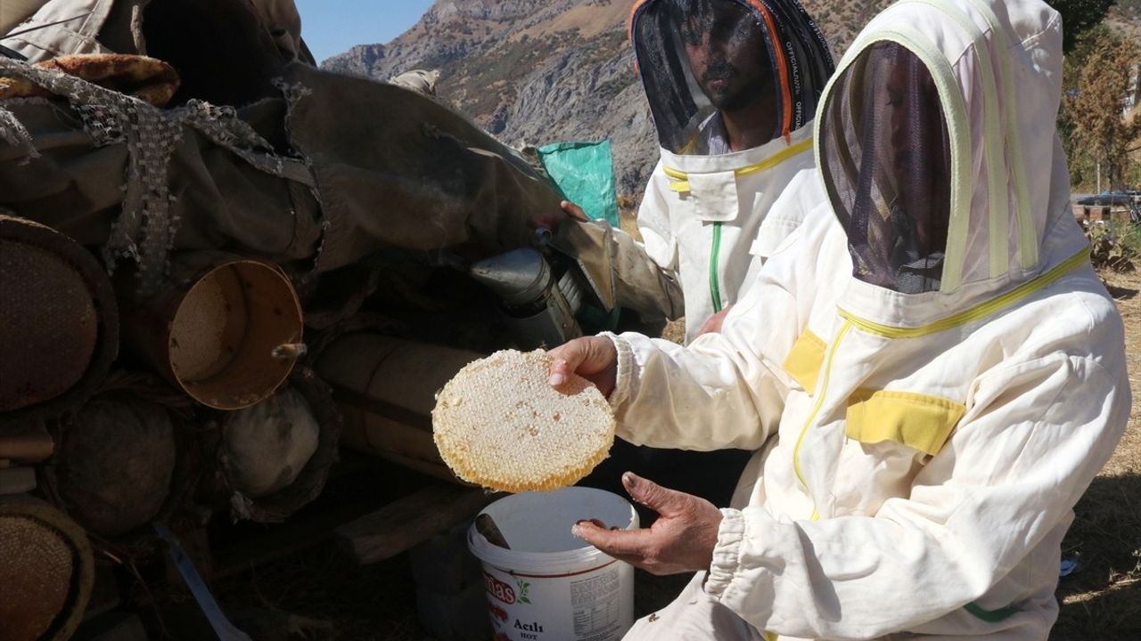 Bitlis Ziyaret Köyünde Yılda 2,5 Ton Bal Üreten İsmet Akkoyun