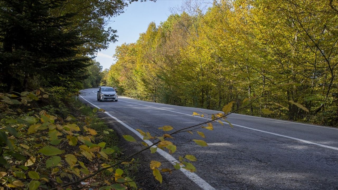 Bolu'da Ormanlar Sonbaharda Renk Şöleni