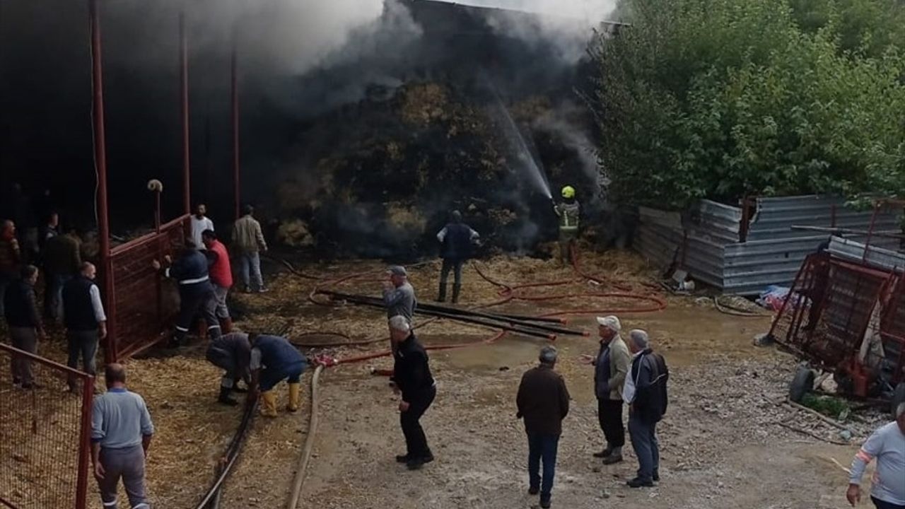 Bursa'da Ahır Yangını: 170 Küçükbaş Telef Oldu