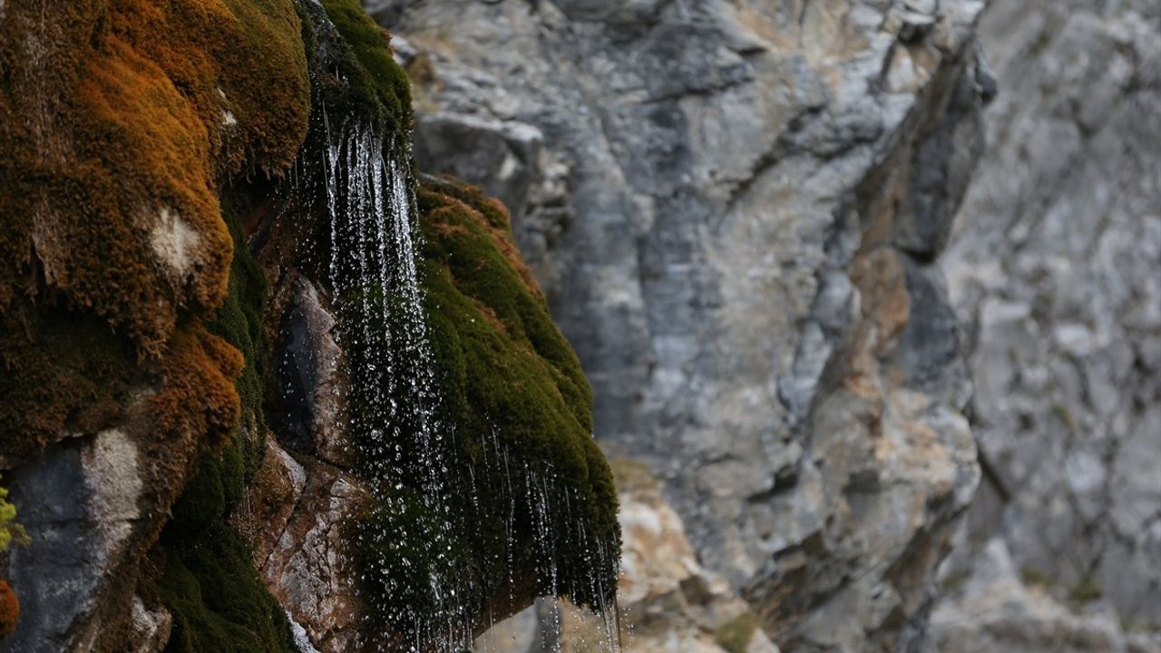 Bursa'da Su Krizi: Uludağ Pınarları Kuruyor, Baraj Doluluğu Yüzde 1'in Altında