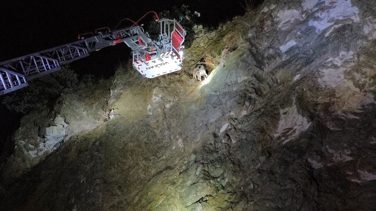 Bursa İnegöl'de Uçurumda Mahsur Kalan Köpek Halatla Kurtarıldı