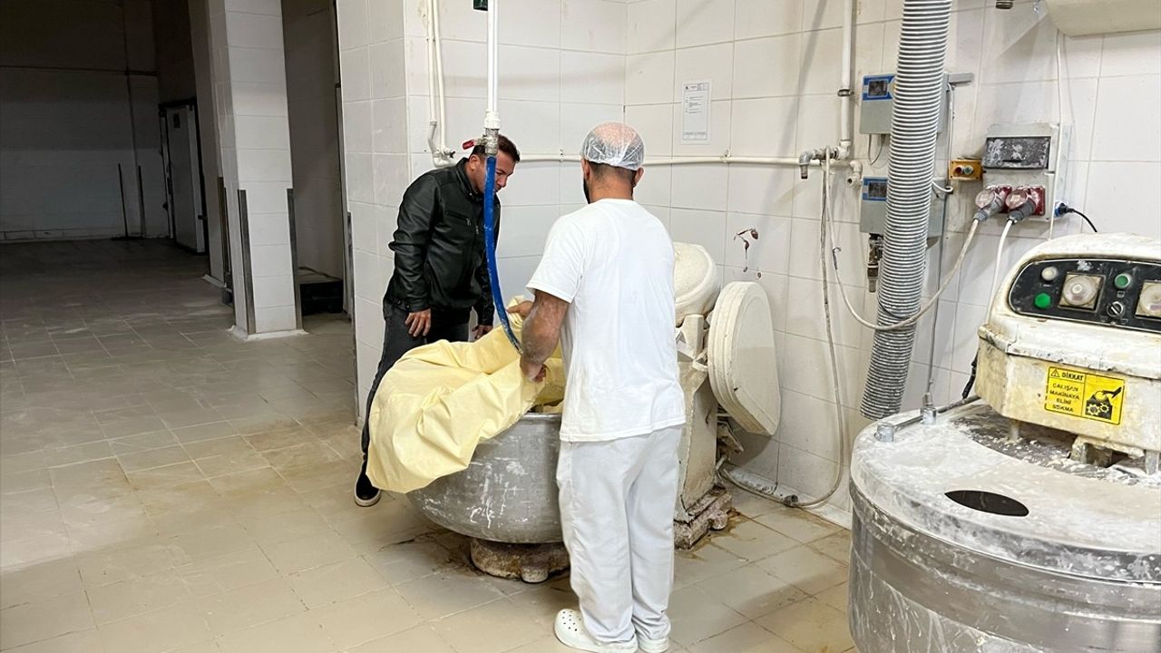 Denizli Merkezefendi'de Halk Ekmek Fabrikasına 'Fare' İddiasıyla Denetim