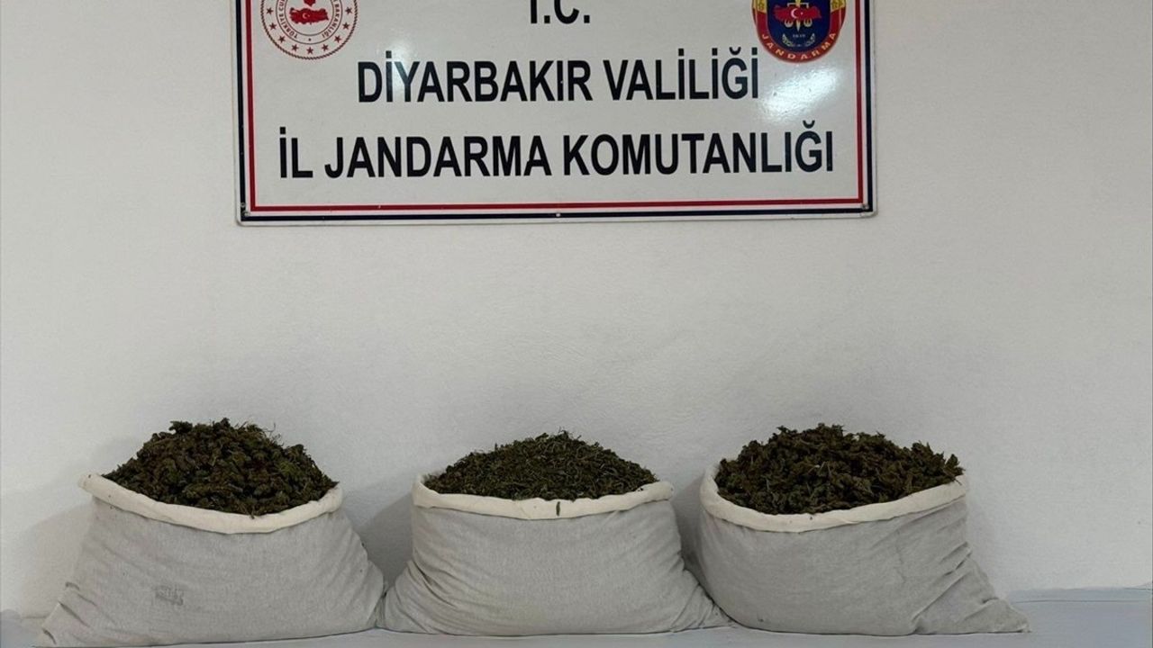 Diyarbakır'da uyuşturucu operasyonu: 15 kilogram skunk ele geçirildi