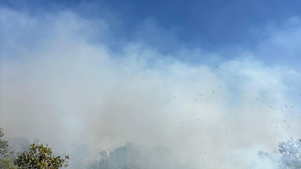 Diyarbakır Dicle'de örtü yangını — ekipler müdahale ediyor