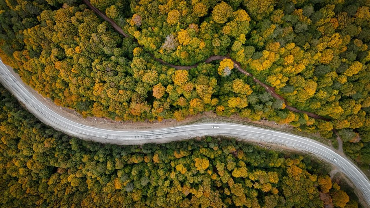 Domaniç Dağları Sonbaharda Renk Şöleni — Kütahya-Bursa