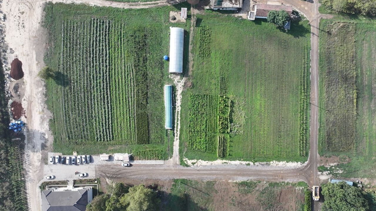 Düzce'de 'Tarım Akademisi' 200 Dönüm Araziyi Üretime Kazandırdı, 100 Kişi Sertifikalı