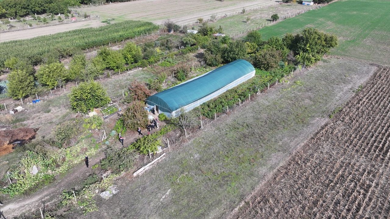 Edirneli Şirin Teyze devlet desteğiyle ikinci serasına kavuşuyor