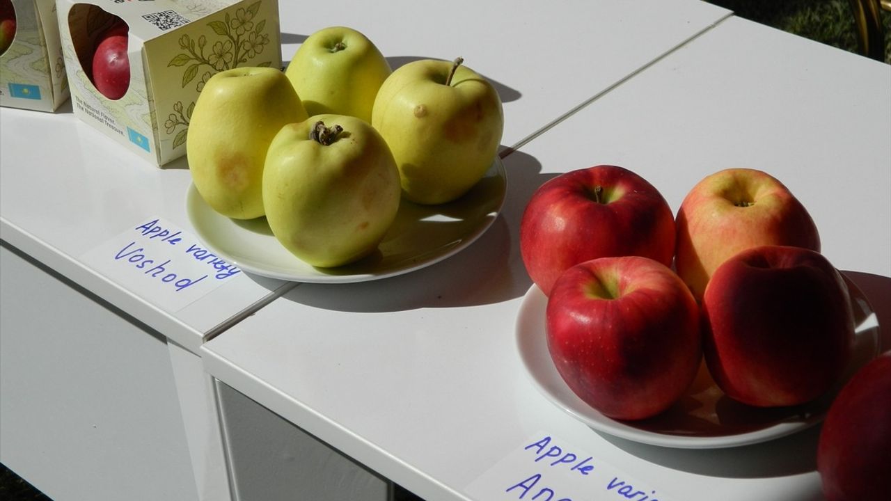 Eğirdir'de Sürdürülebilir Meyve-Bağ Fidancılığı Çalıştayı