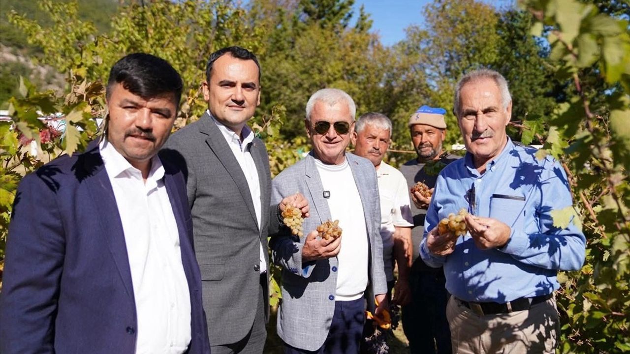 Finike'de 2. Yazır Üzümü Şenliği: Coğrafi İşaret Hamlesi