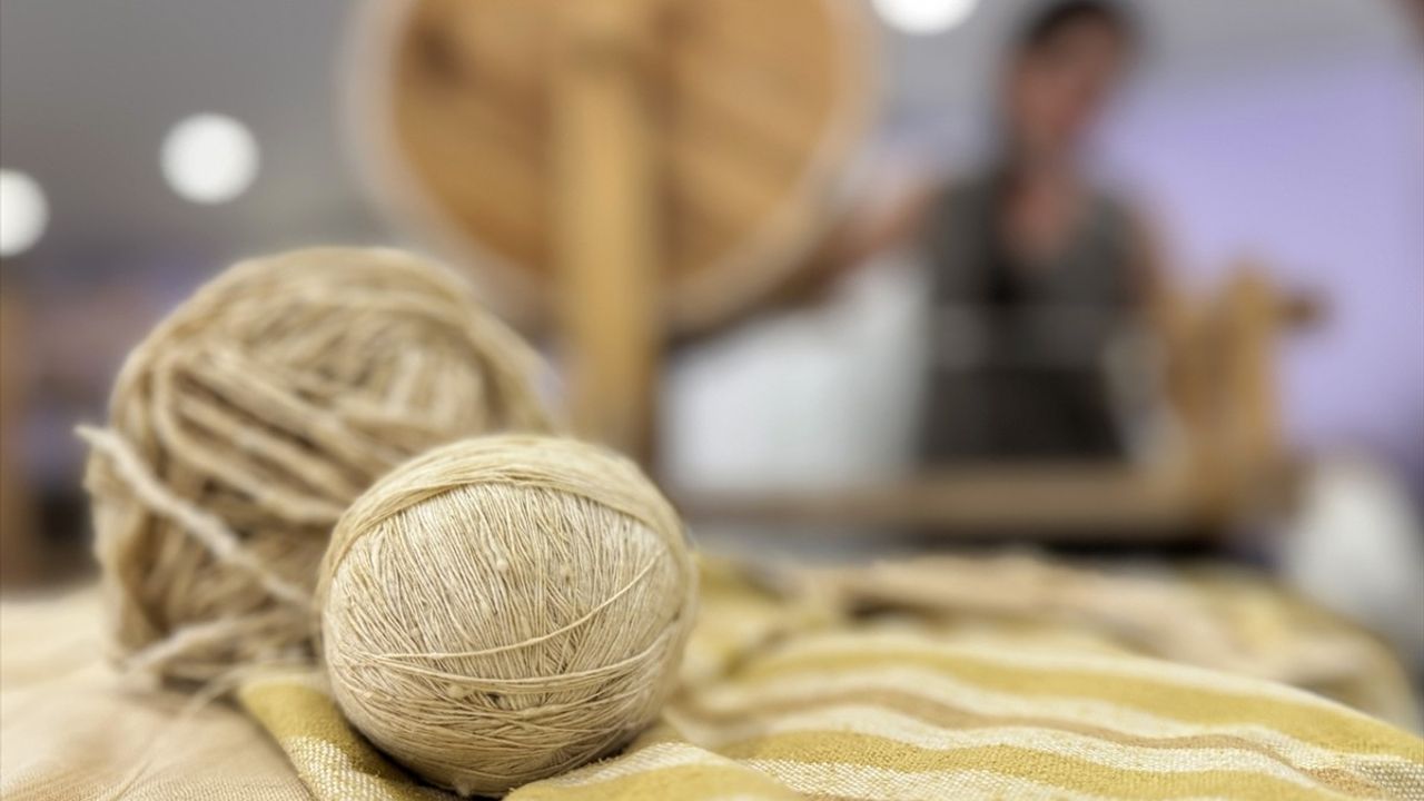 Hatay Sarısı İpeği Tescillendi: Depremden Kurtarılan Yumurtalarla Emel Duman Öncü Oldu