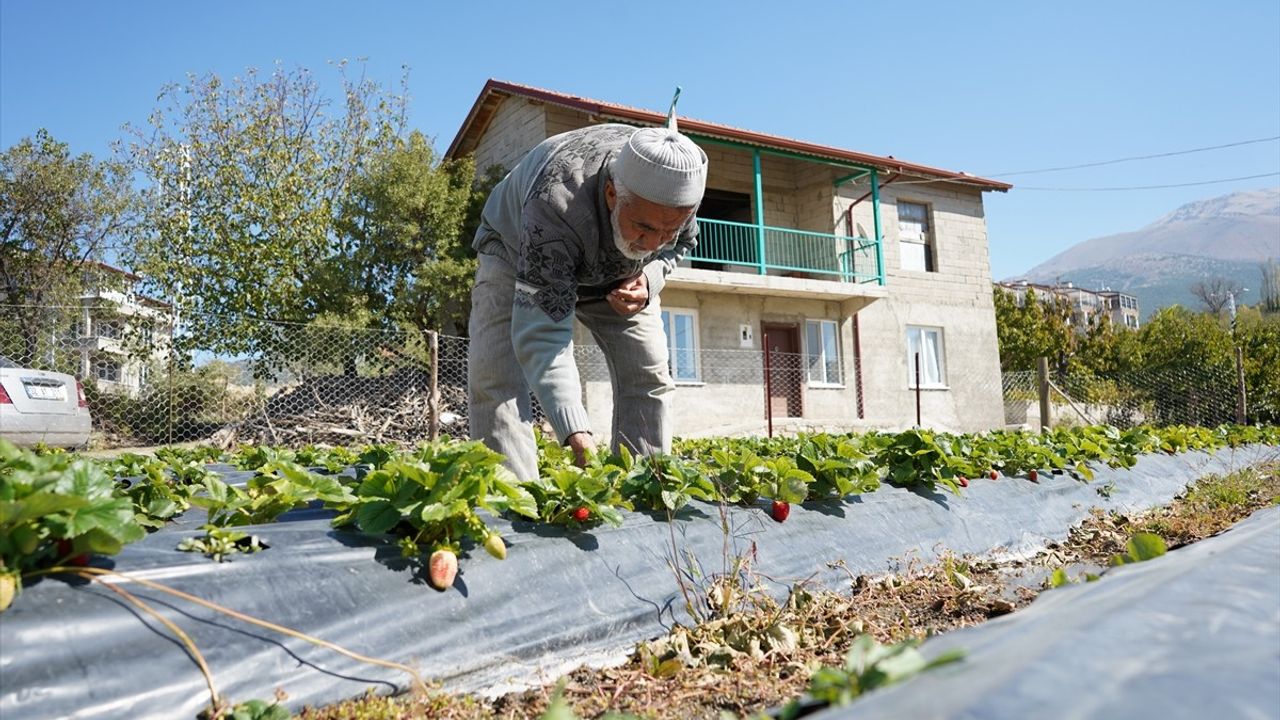 Ispartalı İbrahim Dede'nin Hayır Bahçesi'nde Ücretsiz İkram