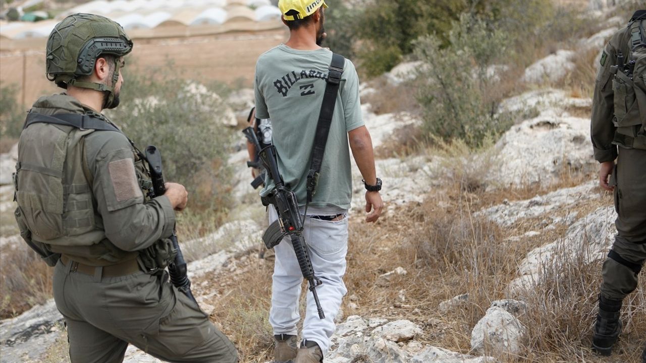 İsrailliler Batı Şeria’da 3 Aracı Yaktı, 150 Zeytin Ağacı Söküldü