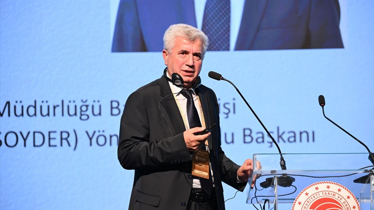 İstanbul Orman İnovasyon Haftası: Odun Dışı Ürünlerde 32 Kat Artış vurgulandı