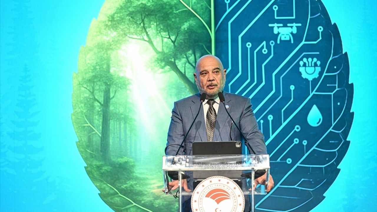 Karacabey: Ormanların Direnci İklim Mücadelesinin Anahtarı