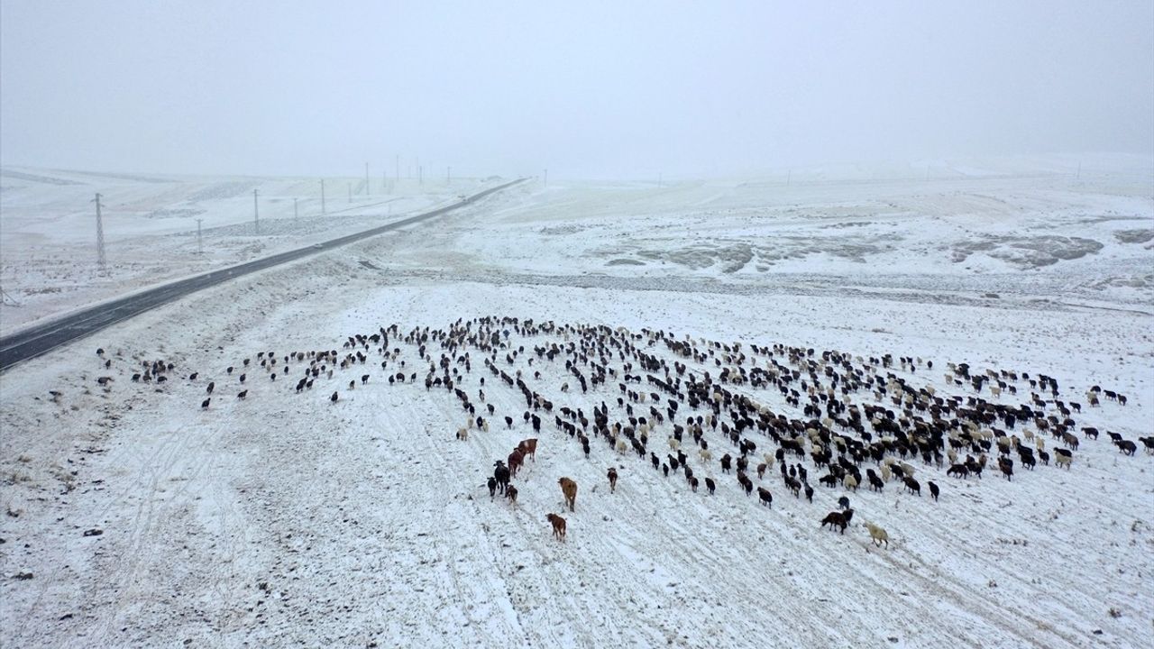 Kars'ta Göçerler Yayladan Dönerken Karla Karşılaştı — Boğatepe Geçidi'nde Zor Anlar
