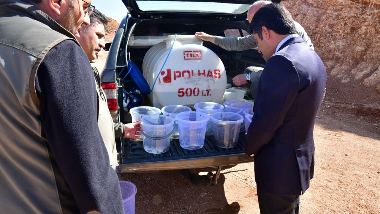 Kırşehir'de Aşıkpaşa Göletine 3 Bin Kırmızı Benekli Alabalık Salındı