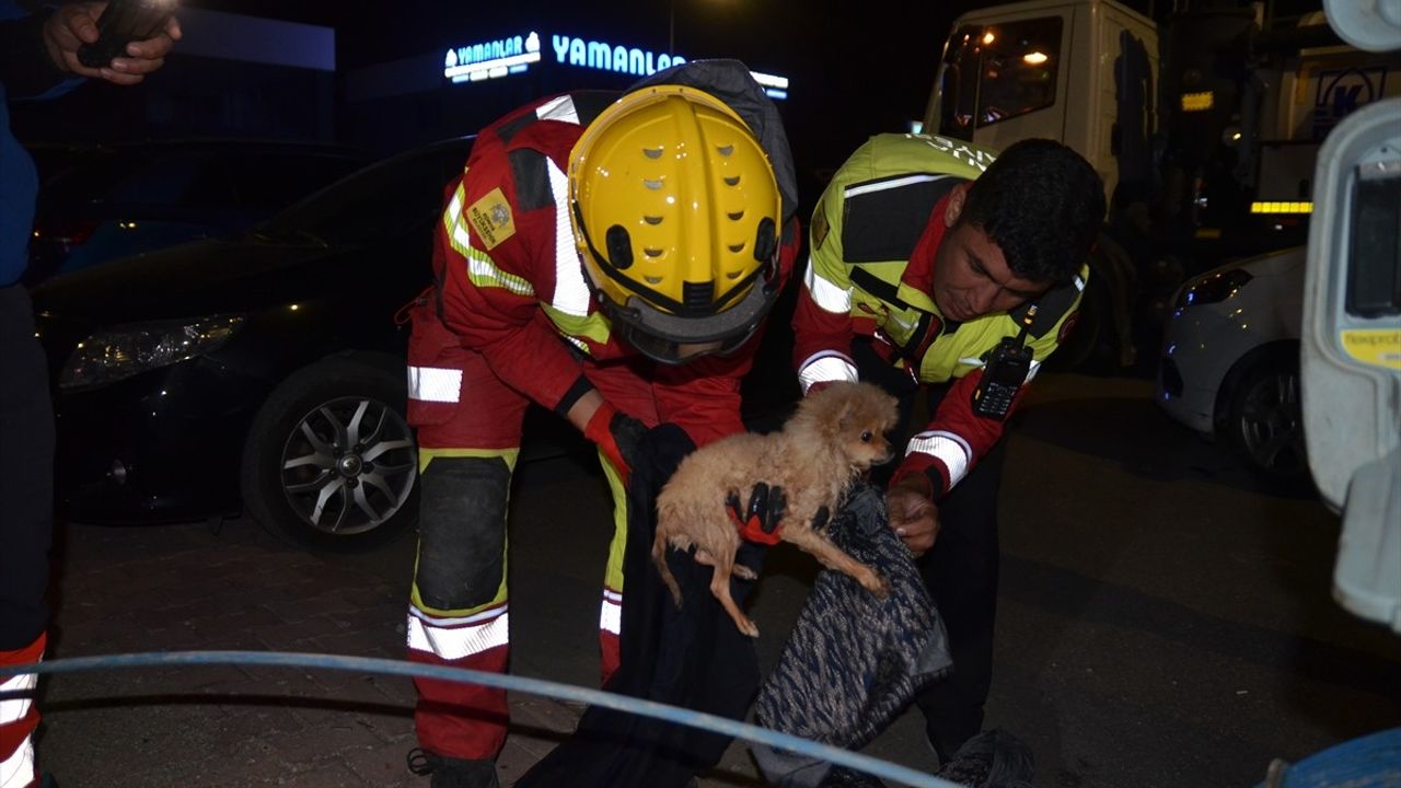 Konya'da Kanalizasyon Borusuna Sıkışan Köpek Yavrusu 6 Saatte Kurtarıldı