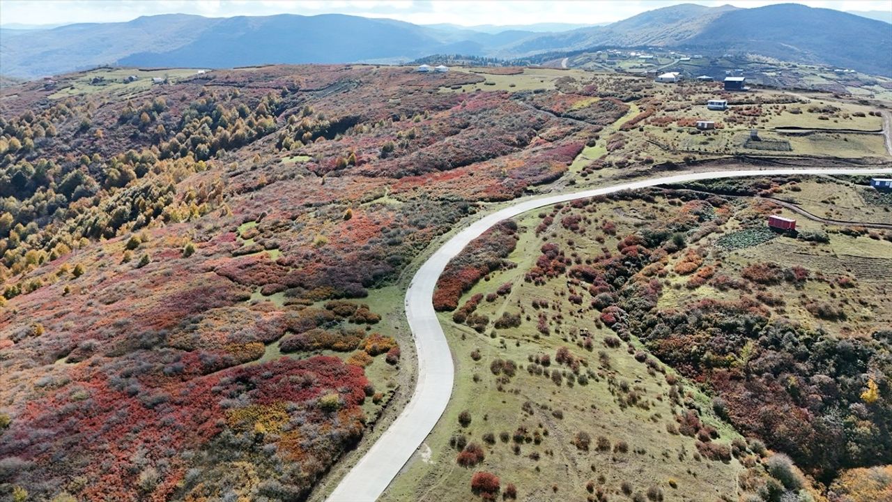 Korgan Yaylası'nda Sonbaharın Renkleri Havadan Görüntülendi