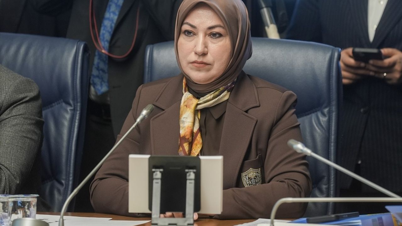 Milli Parklar Kanun Teklifi Komisyon'da: Doğa Koruma ve Yeni Yapılanma