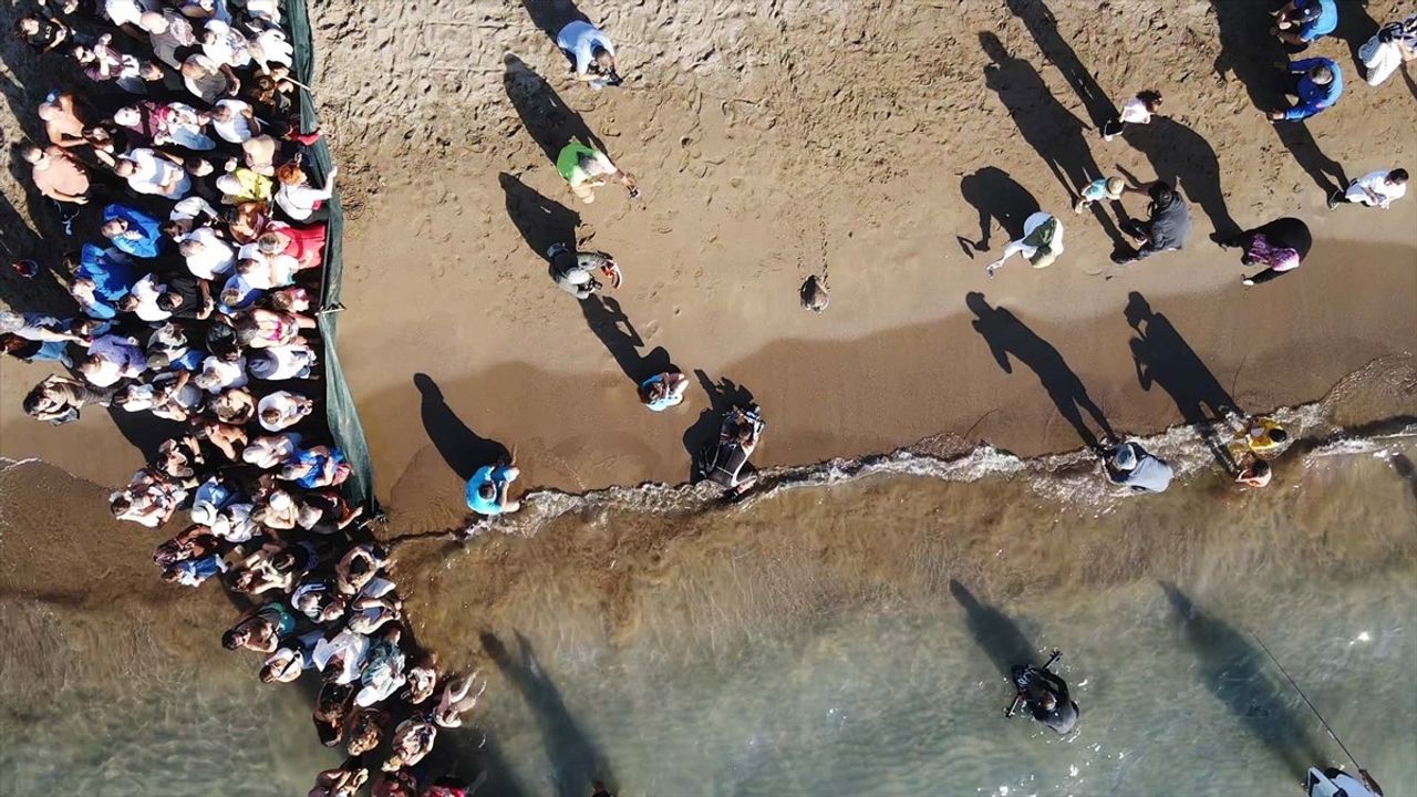 Muğla'da 15 Deniz Kaplumbağası Cumhuriyet'in 102. Yılında Denize Bırakıldı